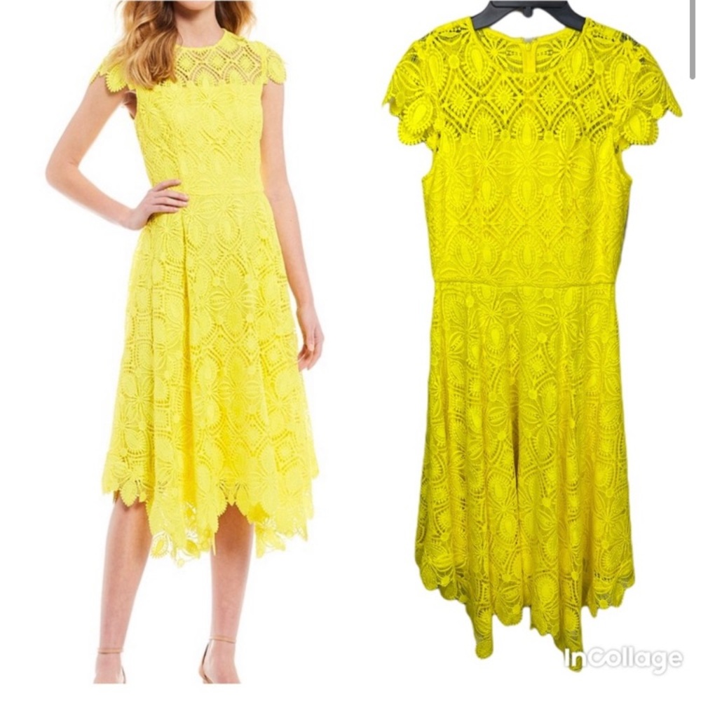 NWT Antonio Melani Daisy Lace Short Sleeve Dress